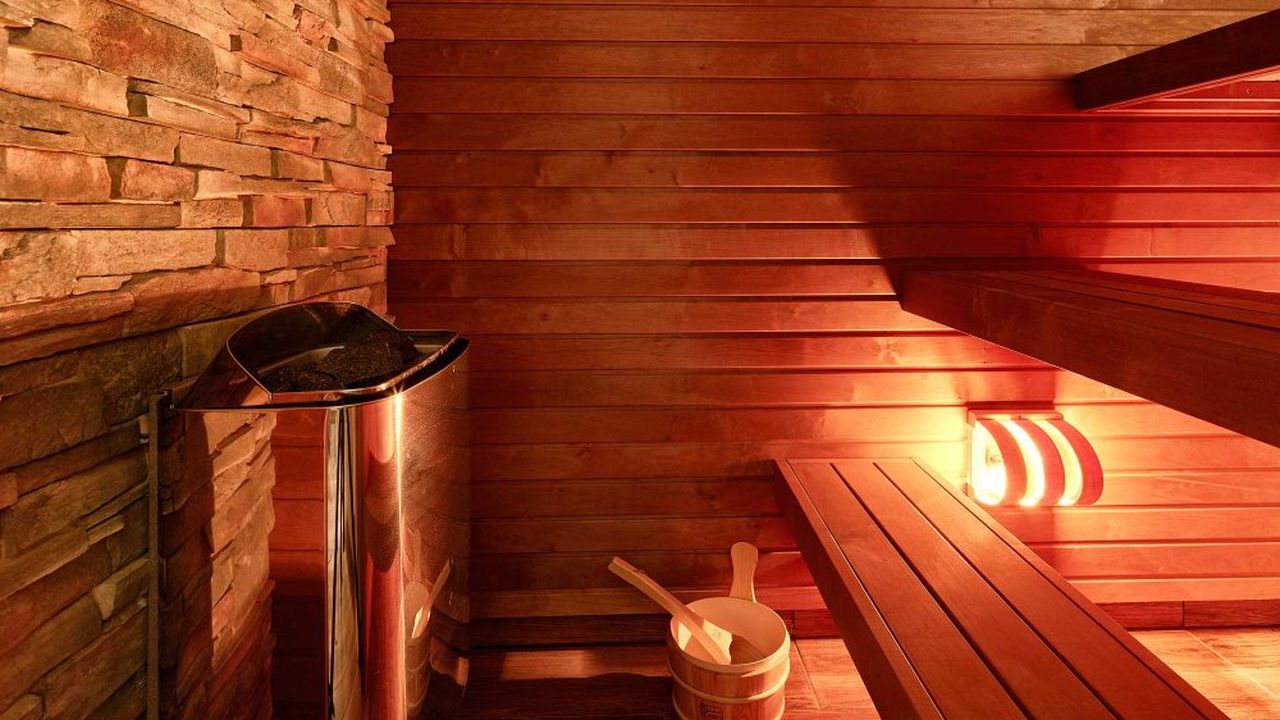 Rheinblick-Chalet: Sauna Rheinblick-Chalet: Sauna